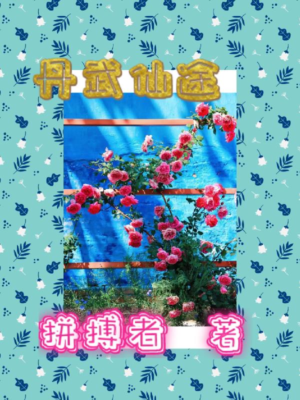 透明衣服美女图片
