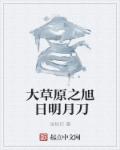 野鸡网址入口