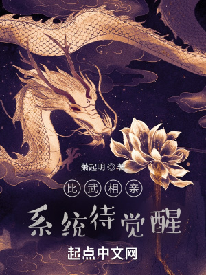 我和公的情乱未删减版