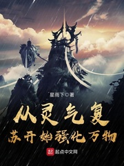 巡回检察组在线观看免费