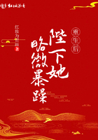 妻子的婚外遇迷途沉沦