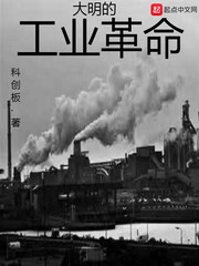 黛妃写的小说