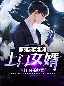 间之契新版