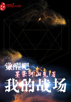 换母小说
