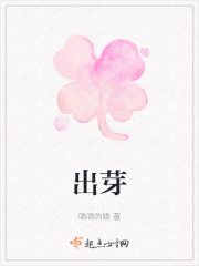 sw系列封面
