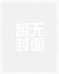 平地机设备司机